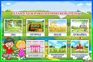 Экологическая тропа Экологическая тропа.